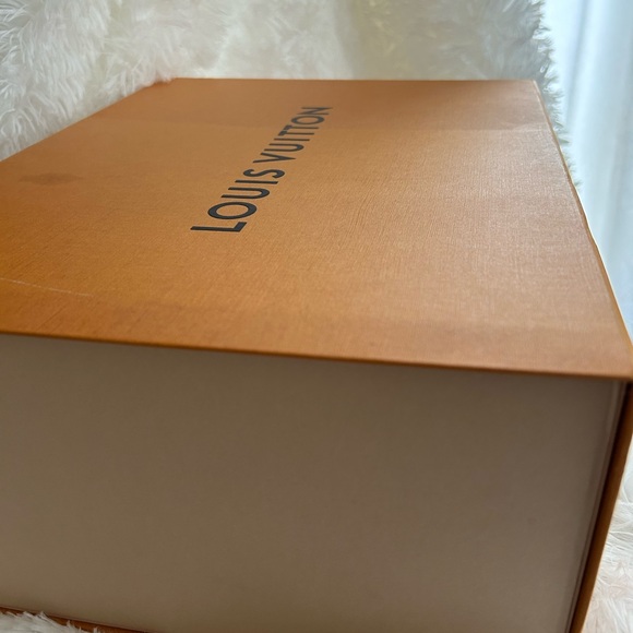 LV Archlight Sneakers size 41.0 - Picture 12 of 12